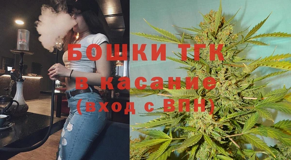 молекула духа Мегион