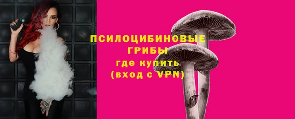 молекула духа Мегион