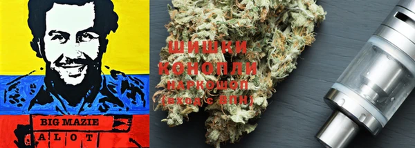молекула духа Мегион