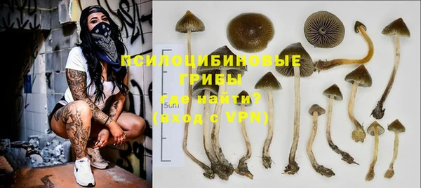 соль курить ск Медвежьегорск